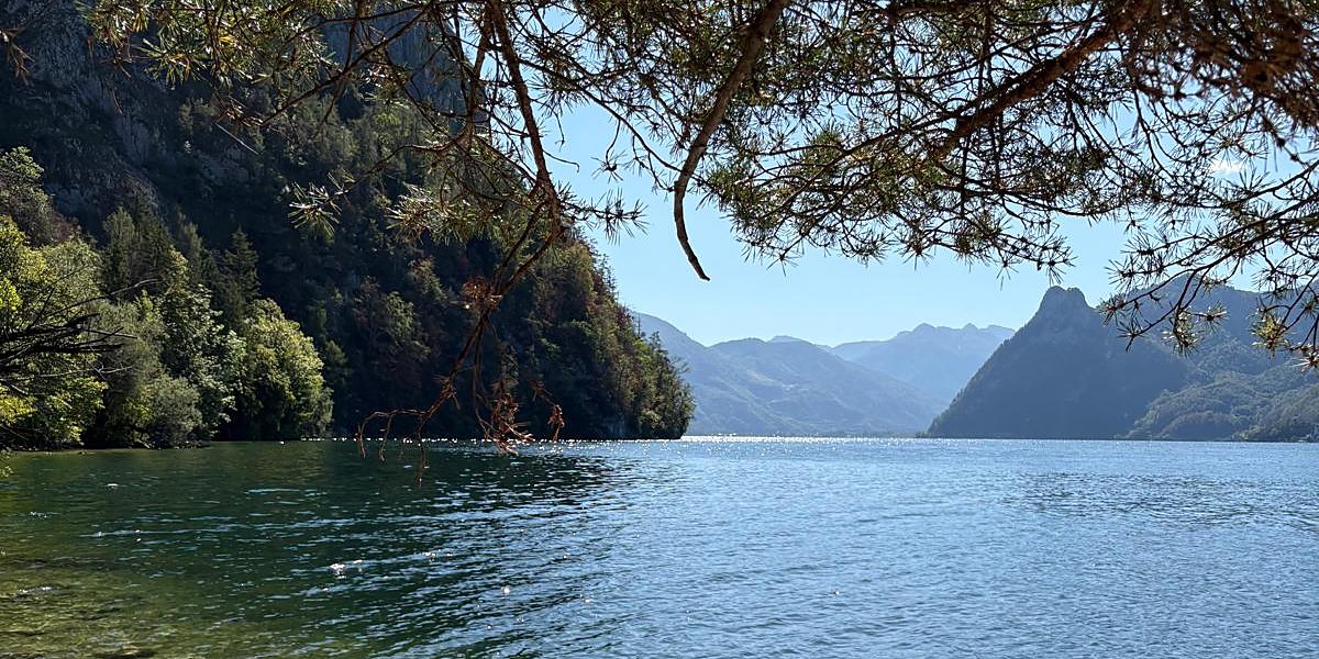 Klarer See unter Kiefernzweigen mit Bergen im Hintergrund