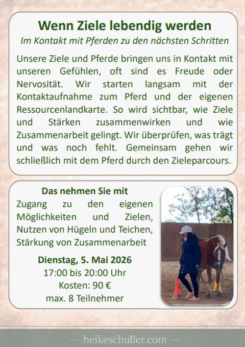 Pferdegestützter Workshop am 5. Mai 26 im Pferdezentrum Stadl-Paura