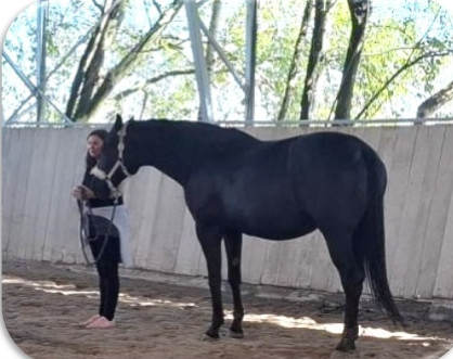 Folder Führungskräfte und Teams